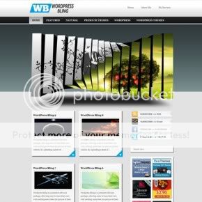 WordpressBling1-290x290.jpg