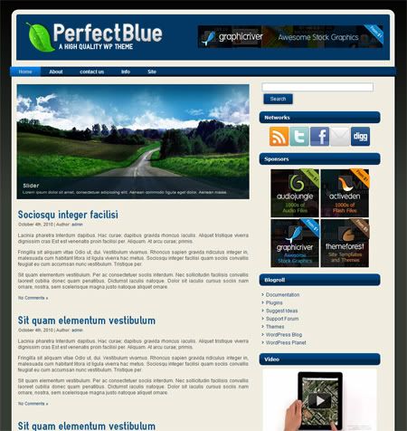 perfect-blue-chico.jpg